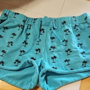 Cloud Chaser Teal Palm Print Athletic Shorts